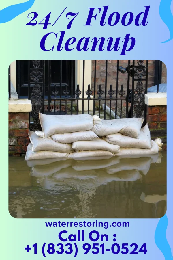 24/7 Flood Cleanup in Metter, GA
