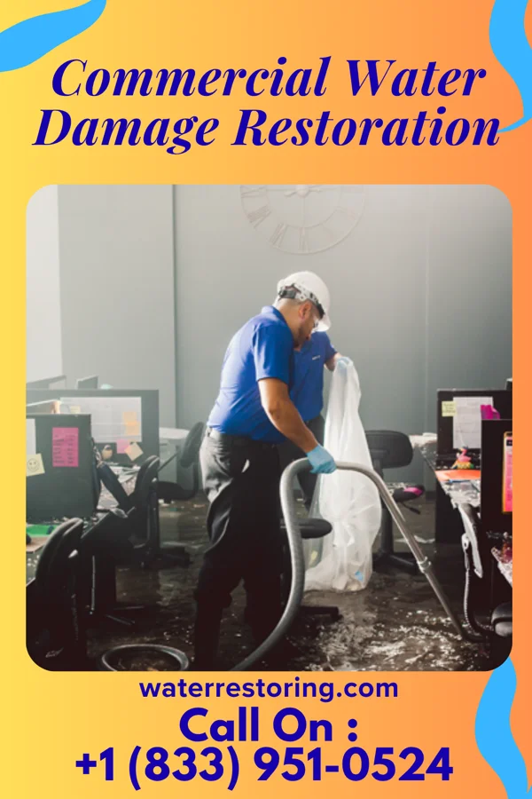 Commercial Water Damage Restoration in Metter, GA